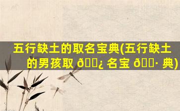 五行缺土的取名宝典(五行缺土的男孩取 🌿 名宝 🌷 典)